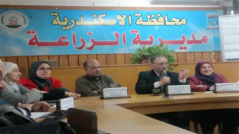 وكيل زراعة الإسكندرية: مشروع لتوجيه مياه الأمطار إلى الأراضي الزراعية لمواجهة الفقر المائي