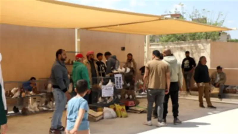 محافظ القاهرة يعلن الانتهاء من سوق الحمام الجديد بالسيدة عائشة لتعزيز التراث والسياحة