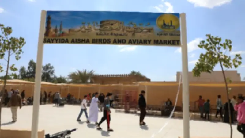 محافظ القاهرة يعلن الانتهاء من سوق الحمام الجديد في السيدة عائشة