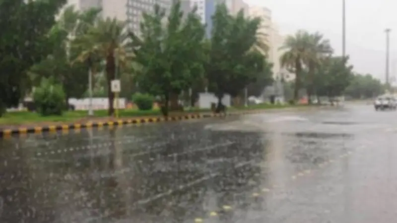 الأرصاد الجوية تحذر من شبورة مائية ورياح نشطة مع انخفاض نسبي في درجات الحرارة