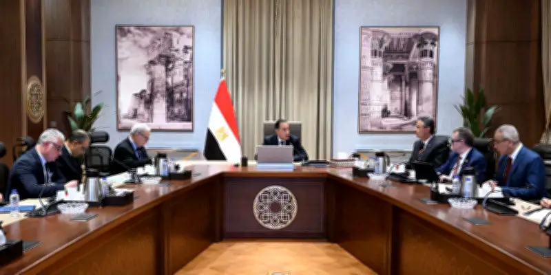 مصر تتفاوض مع دول أجنبية لإنشاء مراكز لوجيستية للحبوب والزيوت لتعزيز الأمن الغذائي