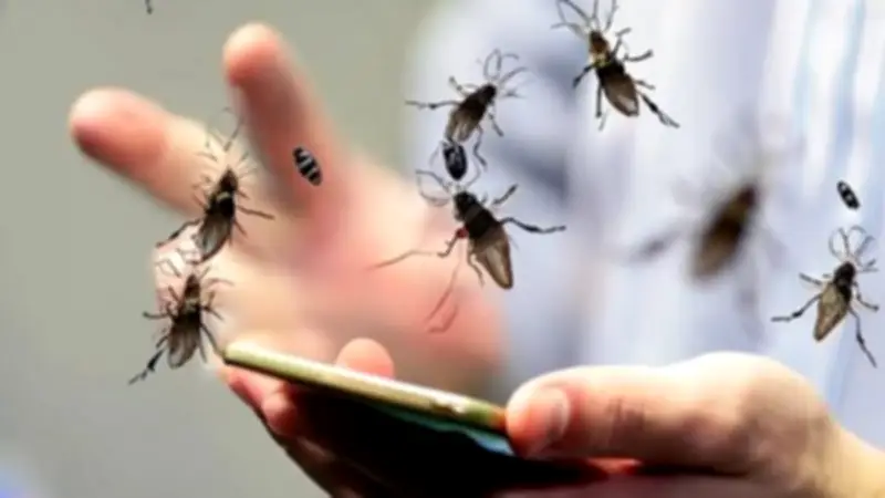 غزو الذباب يهدد المنازل المصرية: نصائح فعالة لمنع دخوله بدون مبيدات