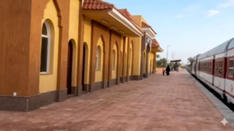 الهيئة القومية لسكك حديد مصر تعلن مواعيد تشغيل قطارات تحيا مصر المطورة على خط القنطرة شرق / بئر العبد