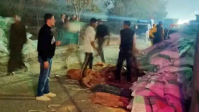 انقلاب سيارة أعلاف على الطريق الزراعي بقويسنا يعطل حركة المرور