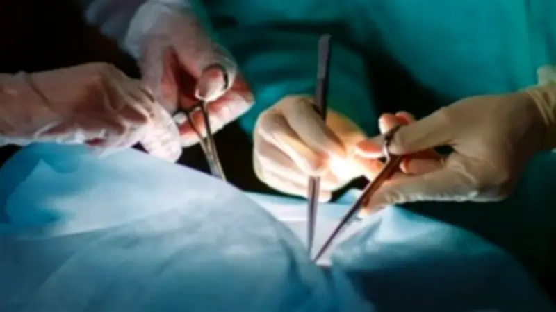 شروط وضوابط زراعة الأعضاء البشرية في القانون المصري: حماية الحقوق ومنع الاستغلال