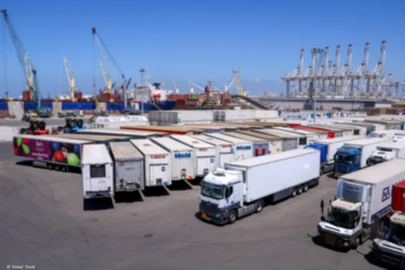 بوابة الصادرات المصرية: تطورات خط الرورو العالمي وأهميته للاقتصاد