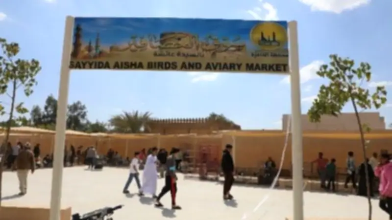 السيدة عائشة تتحول إلى وجهة سياحية مع افتتاح سوق الحمام الجديد