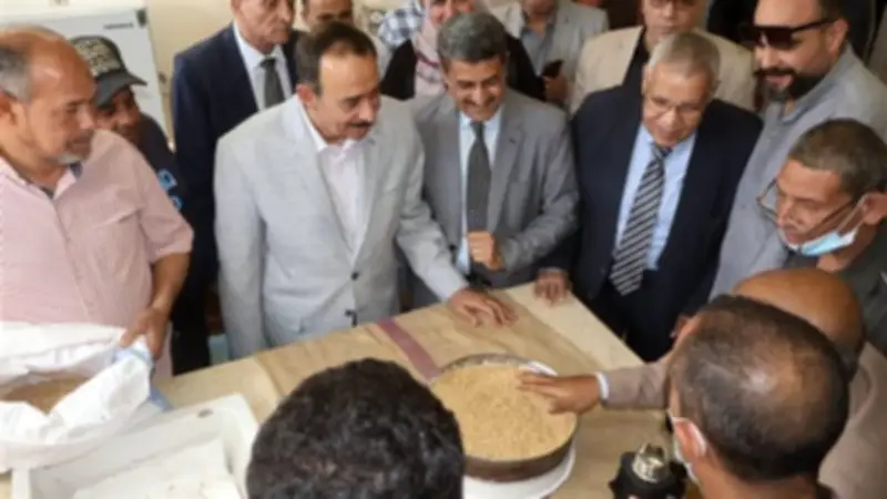 محافظ سوهاج يؤكد تيسير توريد الأقماح لزيادة الإنتاج المحلي وخفض الاستيراد