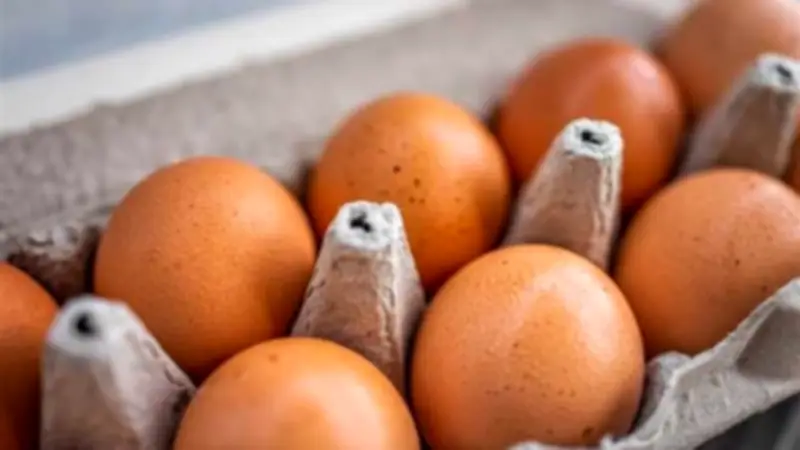 هل البيض يسبب كوابيس حقًا؟ وأشياء يومية تضعف المناعة تدريجيًا دون أن نشعر