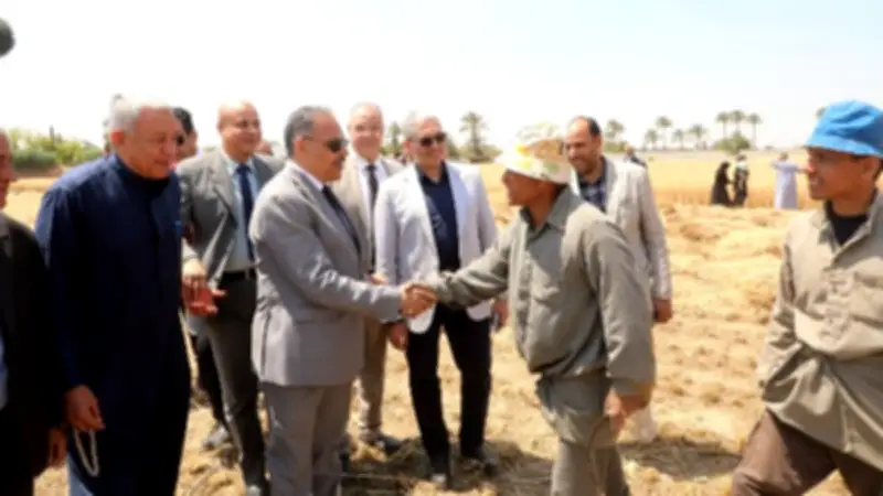 محافظ الشرقية يشهد حصاد القمح ويتفقد مشروع تسمين الجمال في جولة ميدانية شاملة