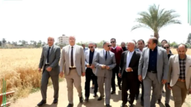 محافظ الشرقية يتفقد حصاد القمح في بلبيس ويوجه بتذليل العقبات أمام المزارعين