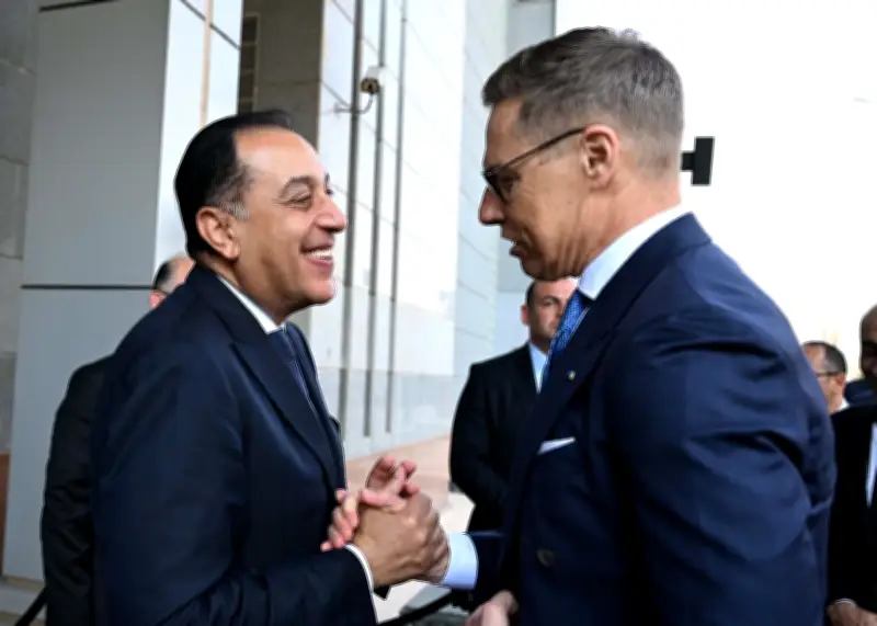 رئيس فنلندا يؤكد استعداد بلاده التام لدعم مصر في تطوير التعليم