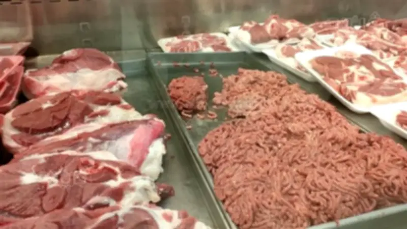 محافظ القليوبية يشرف على حملة تفتيشية تفضي إلى ضبط لحوم ذبيحة مريضة في بنها