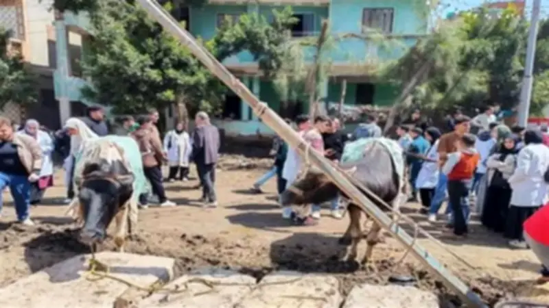 مستفيدون من مبادرة «حياة كريمة»: تحول الوعود إلى واقع ملموس في القرى المصرية