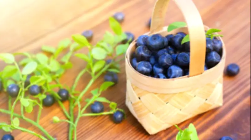 التوت الأزرق: فوائد صحية خارقة تدفعك لتناوله يومياً