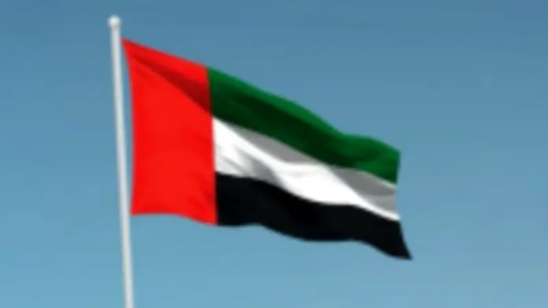 سفير الإمارات في أمريكا يرفض أي تلميح للحاجة لدعم مالي خارجي