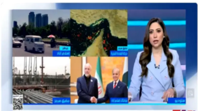 أستاذ علوم سياسية: تصريحات السيسي تعكس دعم مصر للاستقرار الإقليمي