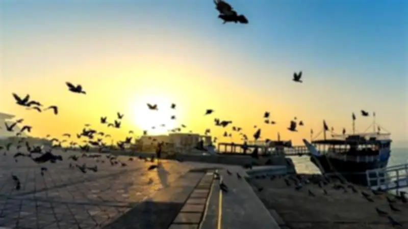 الصحة تكشف عن الأمراض المتوقع ظهورها في الصيف وطرق الوقاية