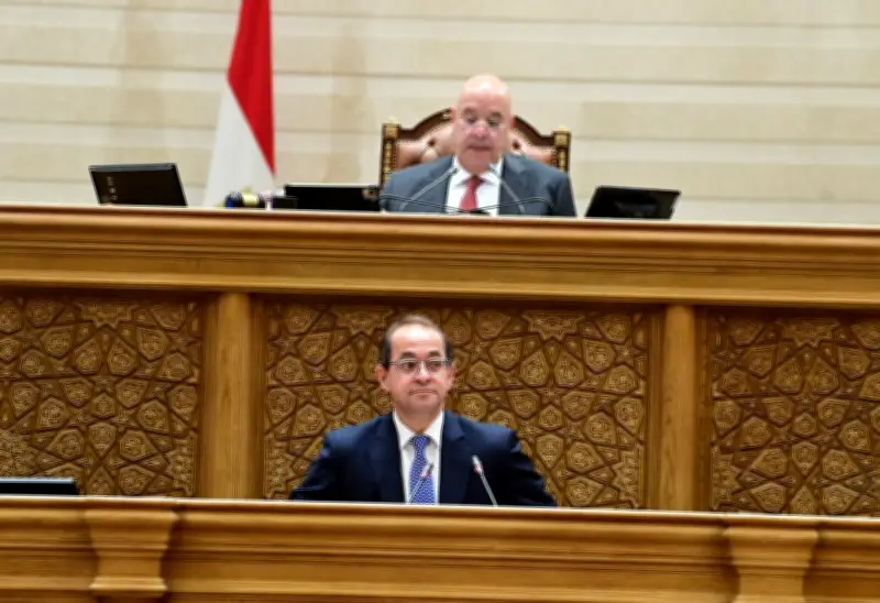 إحالة بيان وزير المالية عن الموازنة العامة إلى لجنة الخطة والموازنة لدراسته