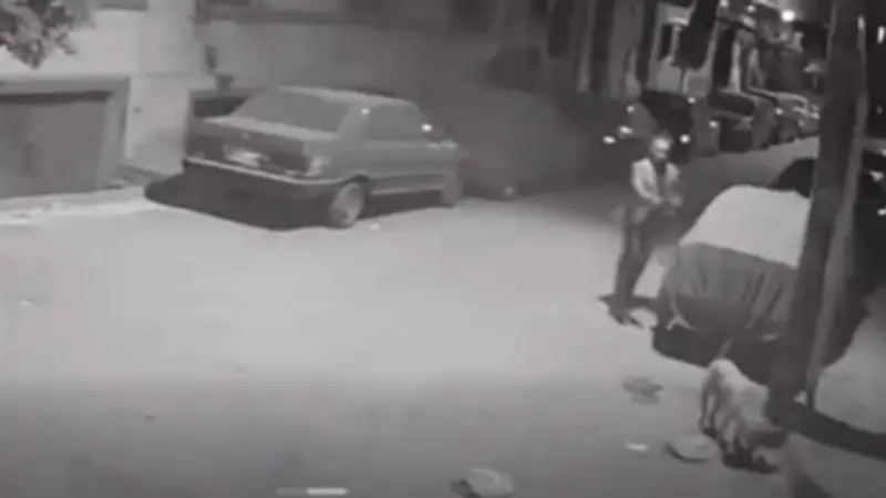 نهاية مأساوية لكلب ضال في أسيوط.. موظف يطلق النار عليه أثناء تناوله الطعام