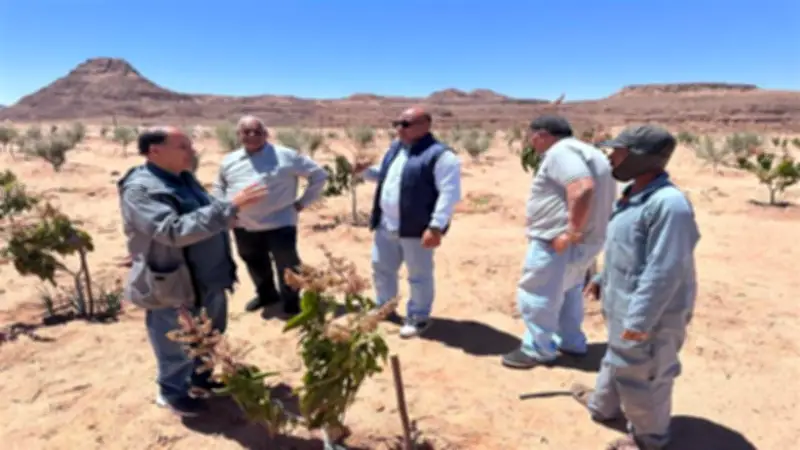 خبراء بحوث الصحراء يقدمون الدعم الفني للمتضررين من السيول في وادي سعال بسانت كاترين