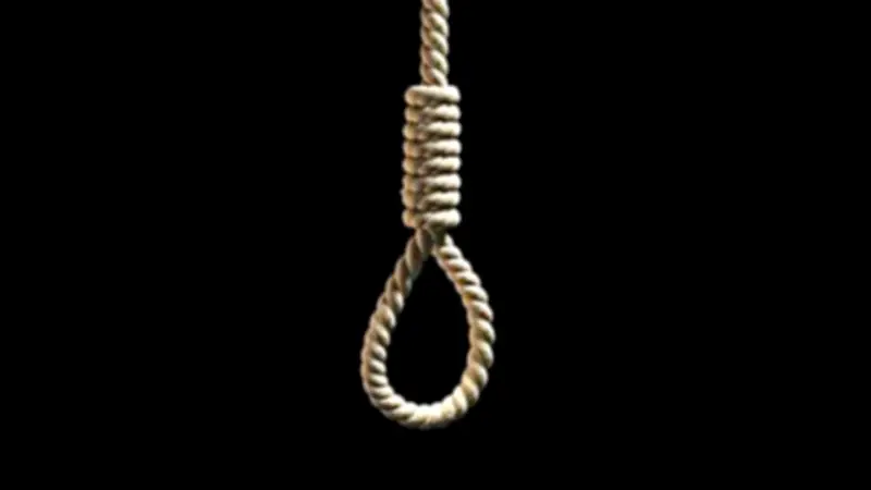 محكمة جنايات المنصورة تصدر حكم الإعدام شنقاً على قاتل شقيقه في مركز الجمالية