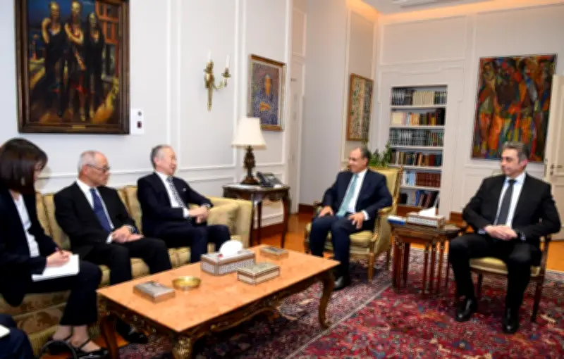 تنسيق مصري ياباني لتمكين اللجنة الوطنية لإدارة قطاع غزة