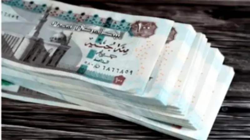 الأسبوع المقبل.. هيئة التأمينات تعلن موعد صرف المعاشات ومكافأة نهاية الخدمة للمتقاعدين الجدد