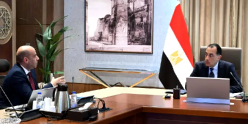 مدبولي يوجه بمد مظلة الحماية الاجتماعية والقانونية للعمالة غير المنتظمة