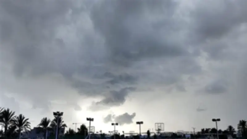 الأرصاد تحذر من شبورة كثيفة ورياح نشطة مع ارتفاع درجات الحرارة اليوم