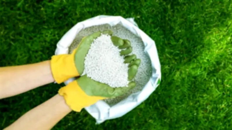 انخفاض أسعار الأسمدة اليوم باستثناء السلفات في ظل أزمة السوق السوداء