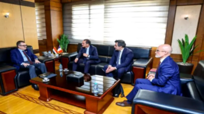 وزير التخطيط يبحث مع وفد فرنسي دعم الاستثمارات وتأمين الطاقة