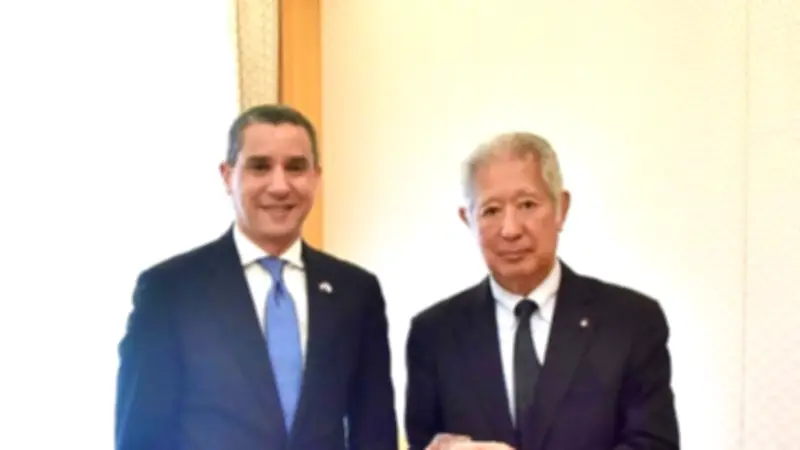 اليابان تجدد دعمها للجهود المصرية لتحقيق الأمن والاستقرار بالشرق الأوسط