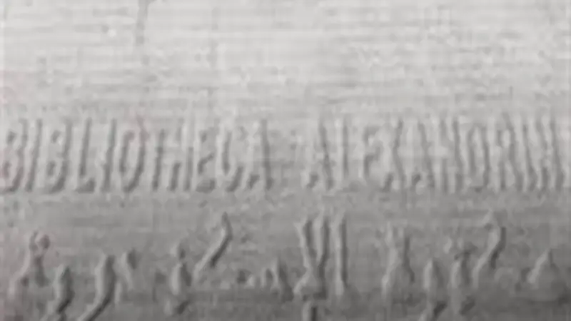 حسام الديب: توطين صناعة ورق الترميم يعتمد على القطن المصري وإعادة التدوير