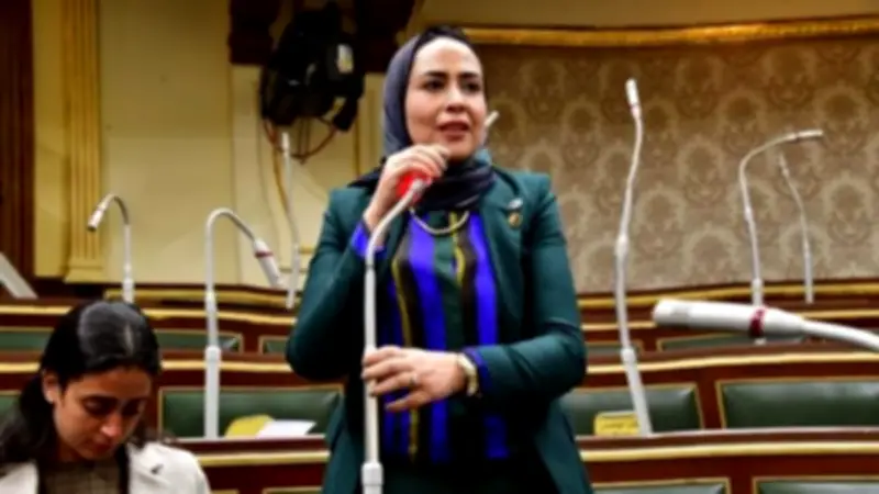 نائبة: أي خلل في مستشفى دمنهور ينعكس على الخدمات الصحية بالمحافظة