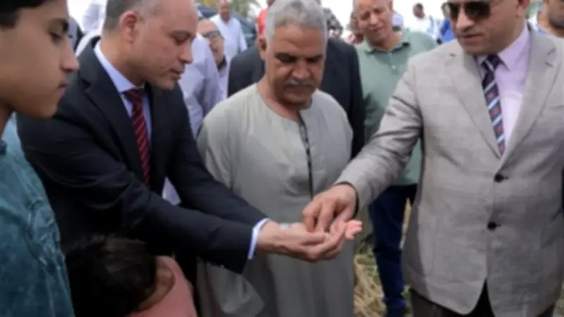 محافظ قنا يطلق موسم حصاد القمح من مزرعة بدندرة ويدعو لتكثيف التوريد
