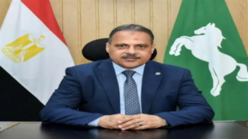 محافظ الشرقية يصدر قرارات حازمة لترشيد الكهرباء والإنارة