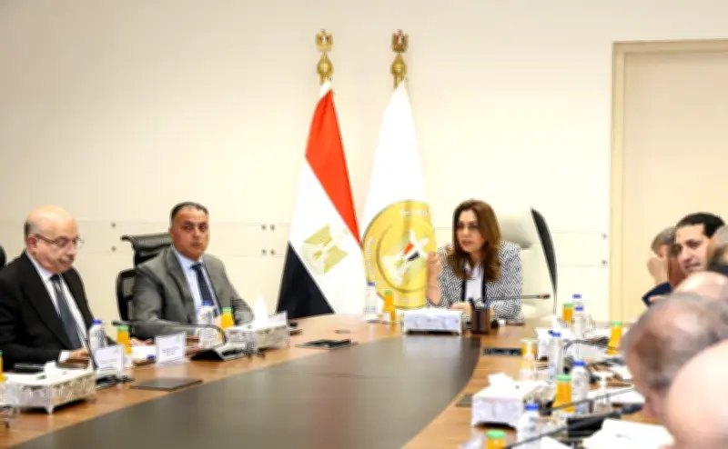 الحكومة تستعد لإطلاق خدمة تراخيص المحال عبر منصة مصر الرقمية