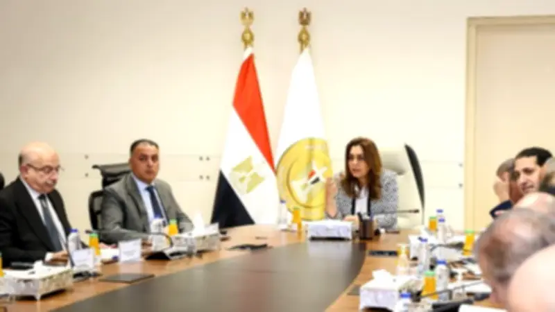 التنمية المحلية: منح تصريح مؤقت لأصحاب المحال خلال أسبوع