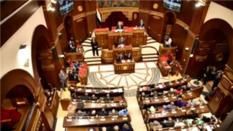 مجلس الشيوخ يناقش المراهنات الرياضية وتطوير مراكز الشباب وتعديل قانون التأمينات