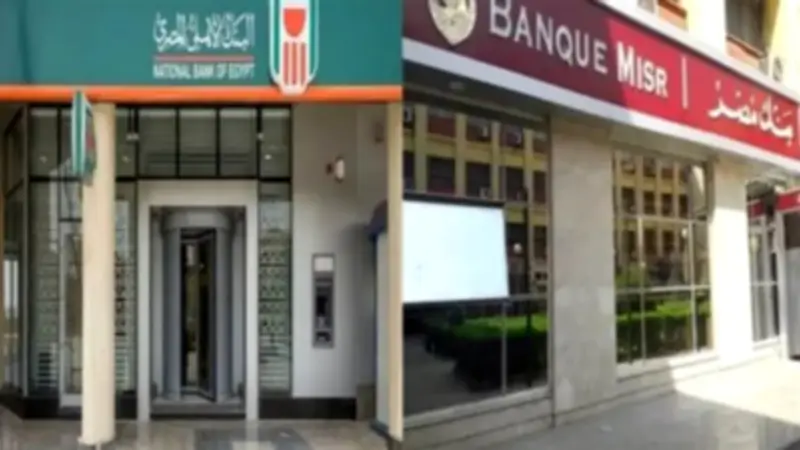 انخفاض أسعار العجول وتحذيرات بنكية من تغيير الساعة في أخبار الاقتصاد