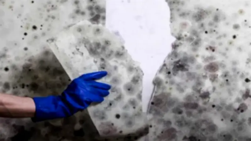 ورق الألومنيوم في مطبخك.. الحل السحري لمكافحة الرطوبة على الجدران