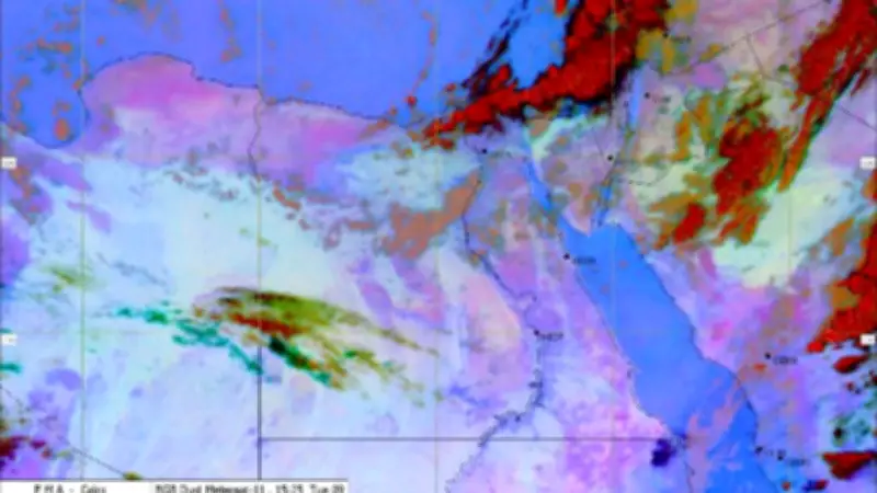 تحذيرات من شبورة صباحية وأمطار رعدية على غرب البلاد الجمعة