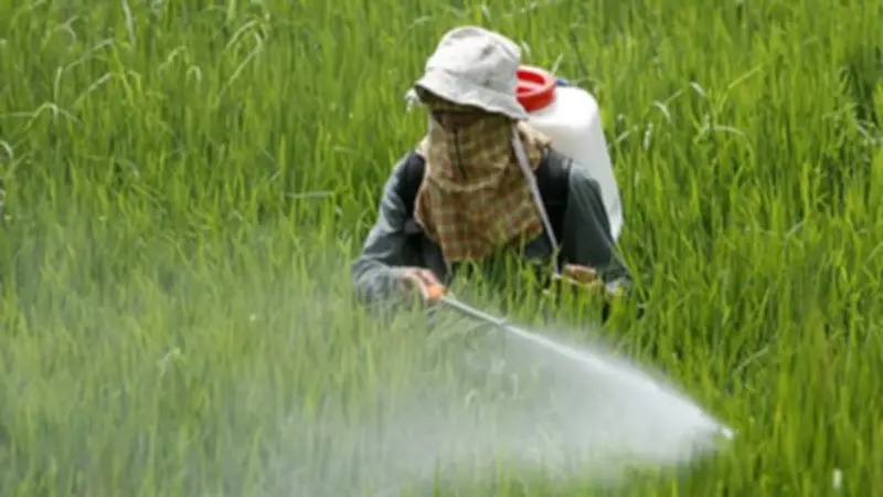 دليلك لحماية نفسك ومحصولك من مخاطر المبيدات الزراعية