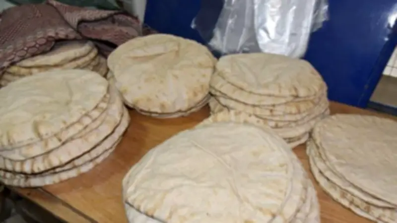 نصائح هامة لتخزين الخبز: لا تسخنه بدرجة عالية بعد الفريزر