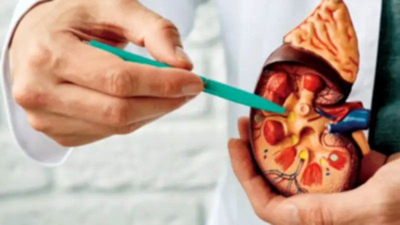 انتبه.. أعراض ارتفاع وانخفاض وظائف الكلى وعلامات تلفها