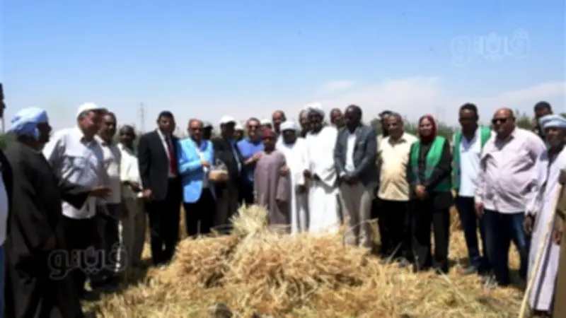 محافظ أسوان يطلق موسم حصاد القمح من نصر النوبة ويدعو لتوريد المحصول