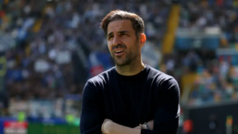 فابريجاس يصف التفكير في تدريب تشيلسي بالغباء