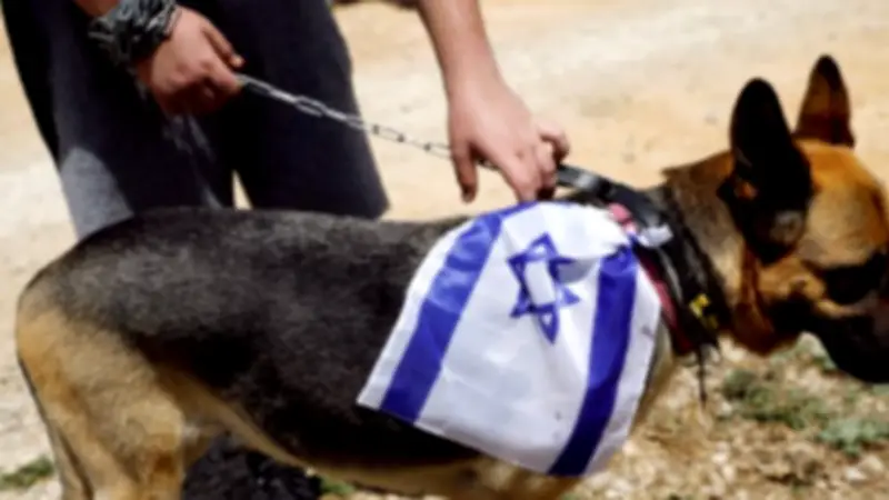 حزب الله يقتل كلباً إسرائيلياً ويكشف خلية مسلحة في بنت جبيل