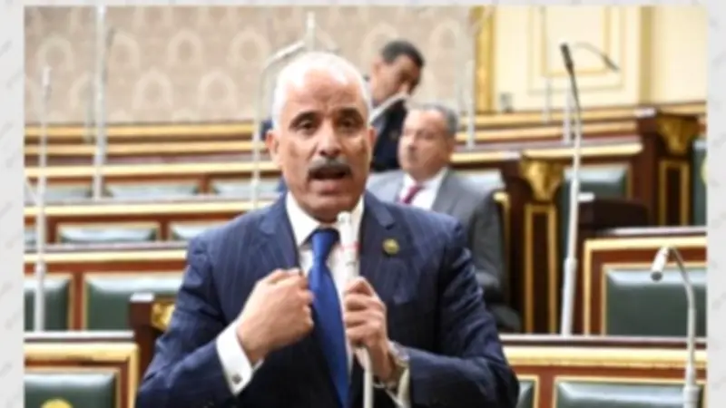 طلب إحاطة يكشف ثغرات نظام الأسر البديلة تحت قبة البرلمان